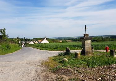 Trail Walking Champagne-sur-Oise - mauvais gps - Photo