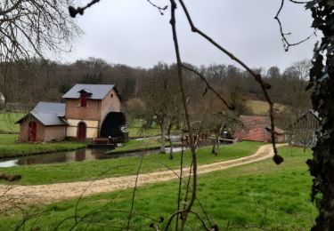 Trail Walking Broglie - Broglie - Photo