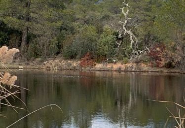 Trail Walking Roquebrune-sur-Argens - z les mares de la Bouverie 21-12-21 - Photo