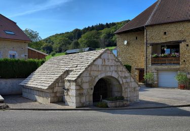 Trail On foot Bretigney-Notre-Dame - Les Gorges de l'Audeux - Photo