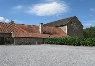 Percorso A piedi Tongeren - Molsterbos - Photo