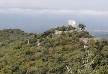 Trail Walking Seynes - Le mont bouquet  - Photo