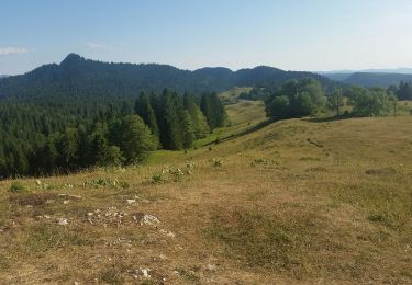 Trail Walking La Pesse - la pesse - Photo