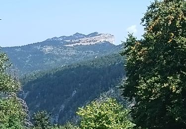 Trail Walking Lans-en-Vercors - le col du furon - Photo