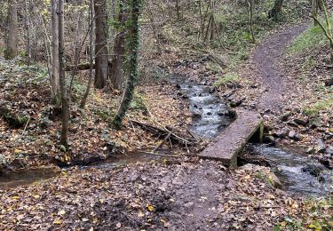 Excursión Senderismo Olne - Chemin de croix Fraipont Banneux Hansez - Photo