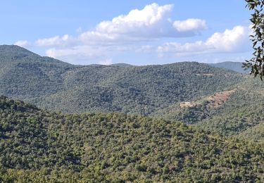 Trail Walking Sainte-Maxime - circuit panoramique Ste Maxime - Photo