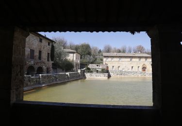 Excursión A pie San Quirico d'Orcia - Casellona - Photo