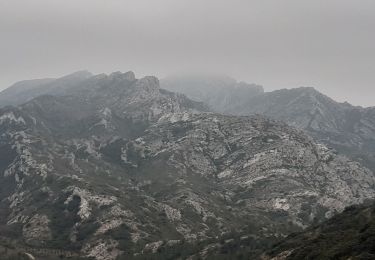 Randonnée Marche Aureille - Vigie Aureille - Photo