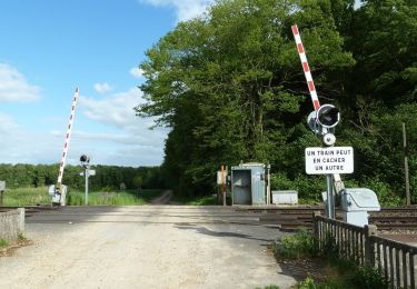 Tour Wandern Villers-Cotterêts - Domaine de Coyolles - Photo