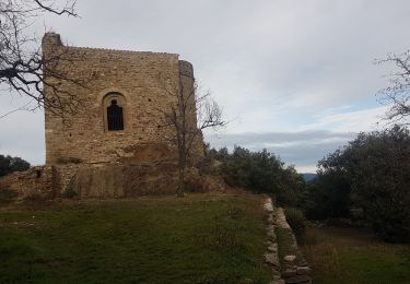 Tocht Stappen Codalet - st michel cuxa col joel .les mines de salers . tour des corts - Photo