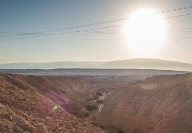 Excursión A pie מועצה אזורית תמר - IL-11449 - Photo