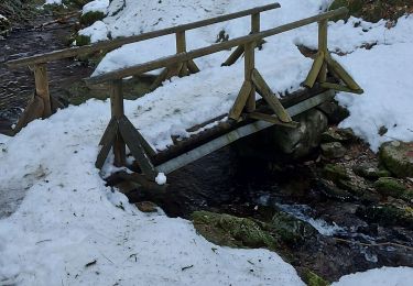 Trail Walking Gérardmer - 1 - Photo