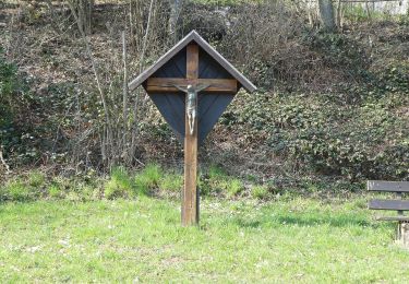 Tour Zu Fuß Hentern - Wissenspfad Hentern - Photo