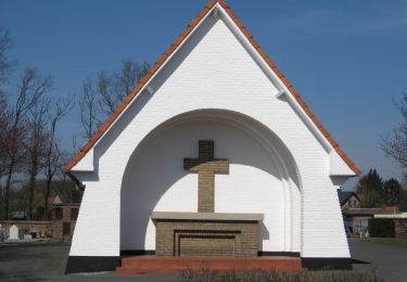 Tour Zu Fuß Houthalen-Helchteren - Wilgenwandeling Vallei Mangelbeek - Photo