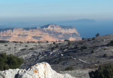 Trail Walking Marseille - Mont Puget par le vallon de Marthe - Photo