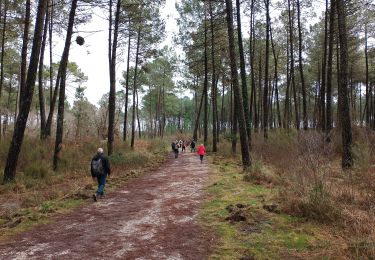 Tocht Stappen Martillac - Martillac - Photo