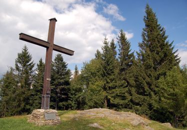 Percorso A piedi Pöllauberg - Masenberg über Staudach Weg 16 - Photo