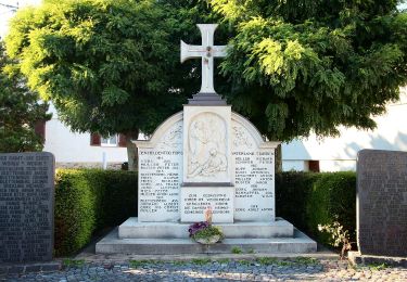 Percorso A piedi Montabaur - Elchwanderweg Elgendorf (Große Umrundung) - Photo