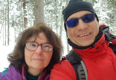 Tocht Sneeuwschoenen Châtelblanc - raquette jeudi jura - Photo