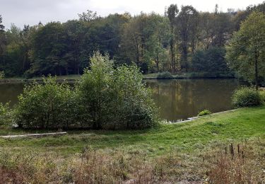 Randonnée A pied Südharz - Oberer Bandweg - Photo