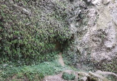 Percorso Marcia Aspromonte di Nizza - VALLONS OBSCUR - Photo