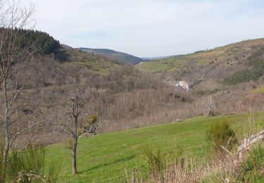 Randonnée Marche La Valla-en-Gier - La Rive Piney Soleyres - Photo