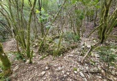Trail Walking Labastide-de-Virac - labastide pont d'arc - Photo