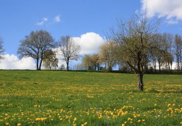 Tour Zu Fuß Ebersburg - Rhön-Rundweg 2 Weyhers - Photo