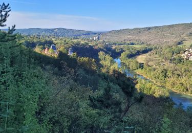 Trail Walking Challes-la-Montagne - challes la montagne barrage lallement la cueille sameriat - Photo