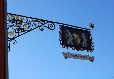 Tocht Te voet Elchingen - Postweg - Photo