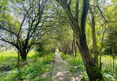 Randonnée Marche Tongres - De Kevie : la promenade du Geer à Tongres  - Photo