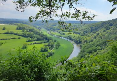 Trail Walking Esneux - La Boucle de l'Ourthe - Photo