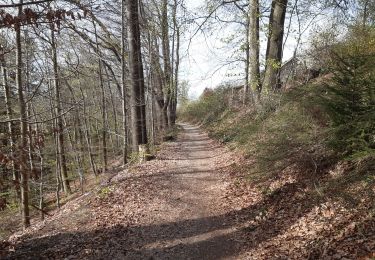 Trail Walking Spa - spa . spaloumont . golf  . bansions . champion.  spa - Photo