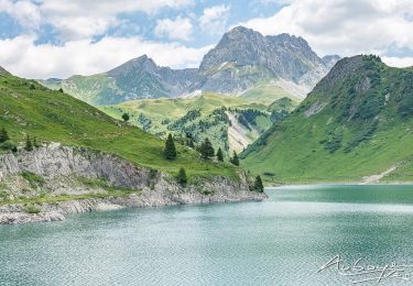 Percorso Marcia Gemeinde Lech - Boucle Spulersee à décrire  - Photo