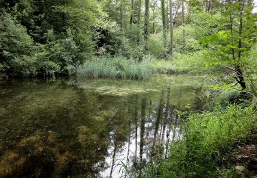 Tocht Te voet Döttingen - Beznau Steg - Stilli Brücke - Photo