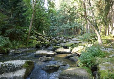 Percorso A piedi Windischeschenbach - Waldnaabtal Uferpfad - Photo