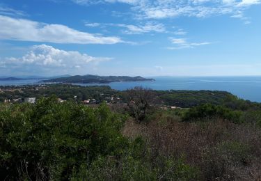 Excursión Marcha nórdica La Seyne-sur-Mer - janas - Photo