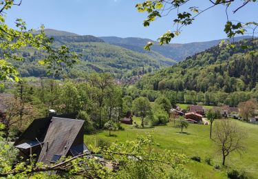 Tocht Mountainbike Munster - Munster Gaschney Metzeral - Photo