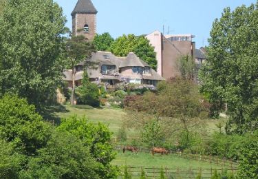 Trail Walking Tournai - RB-Ha-01 - Mont Saint-Aubert - 2024-10-29 - Photo