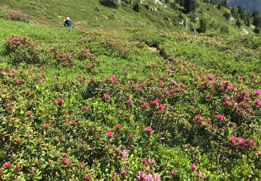 Tocht Stappen Allemond - Malraux Lac de Belledonne  - Photo