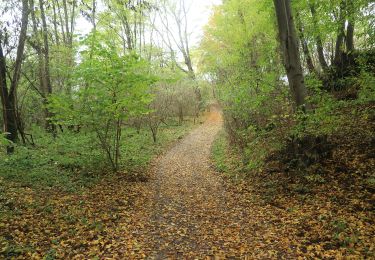 Tocht Te voet Křečovice - [Ž] Psané skály - Třebsín - Photo