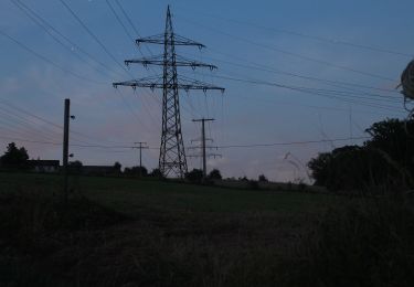 Excursión A pie Egenhausen - Egenhausen-Nagold - Photo