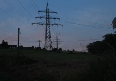 Trail On foot Egenhausen - Egenhausen-Nagold - Photo