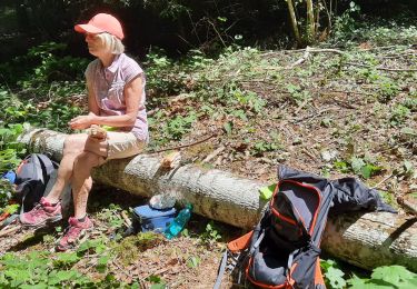 Excursión Senderismo Mandeure - balade 31mai  - Photo