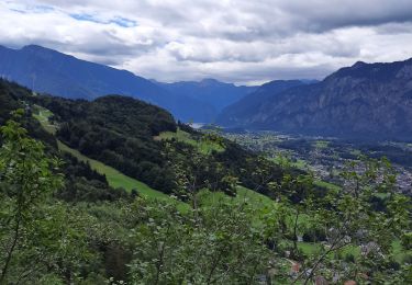 Trail Walking Bad Goisern am Hallstättersee - predigstuhle  - Photo