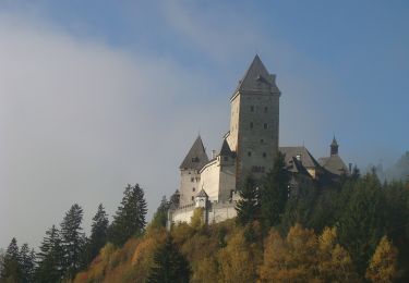 Percorso A piedi Mariapfarr - Wanderweg 37, Frimlkapelle - Schloss Moosham - Photo