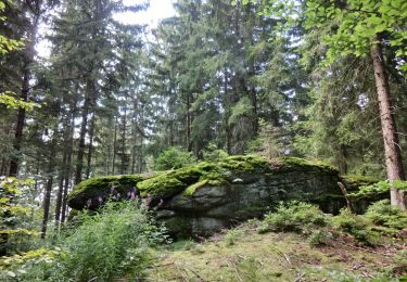 Trail On foot Fichtelberg - Fichtelberger Bergamtsweg - Photo