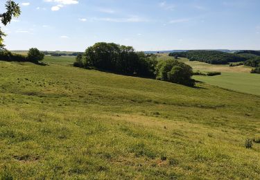 Trail Walking Moyenvic - les hauts de Sain-Jean - Photo