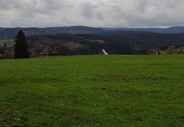 Randonnée Marche Titisee-Neustadt - balade vers Saig - Photo