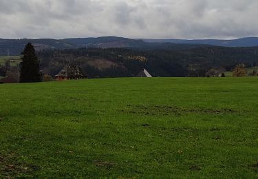 Percorso Marcia Titisee-Neustadt - balade vers Saig - Photo